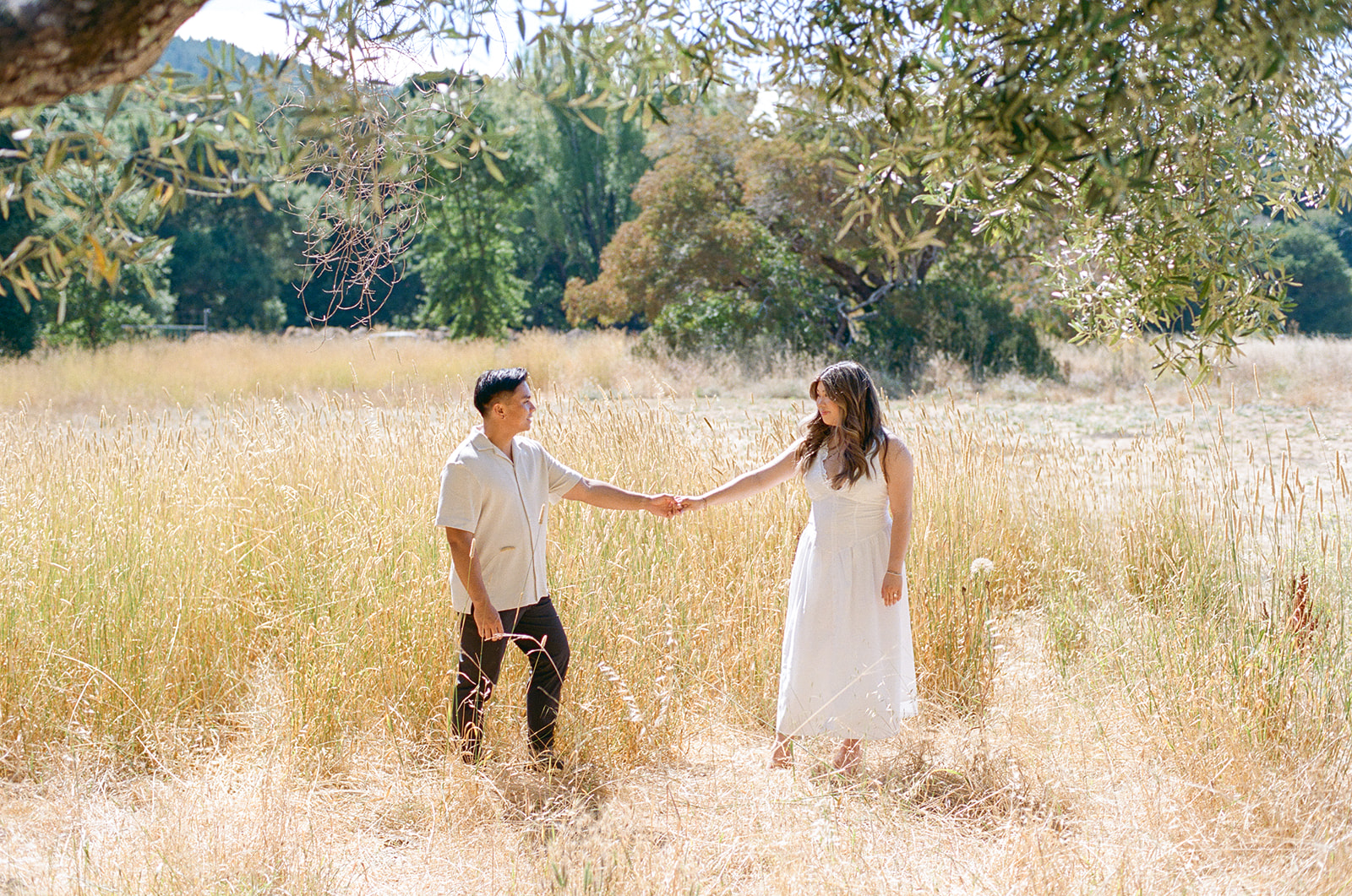 Film photo of bride to be and groom to be amongst the Olive trees during their engagement session