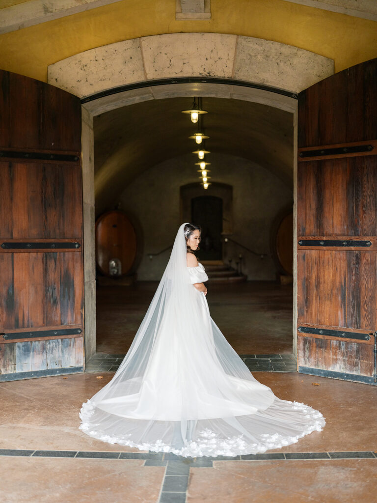 Bridal portrait in the doorway of Viansa Winery's wine cave, cathedral veil spread behind her, rows of wine barrels glowing in the arched tunnel