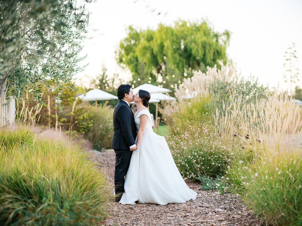 Bride and groom kissing at golden hour in the ornamental grass garden at The Barn at Harrow Cellars, Sonoma