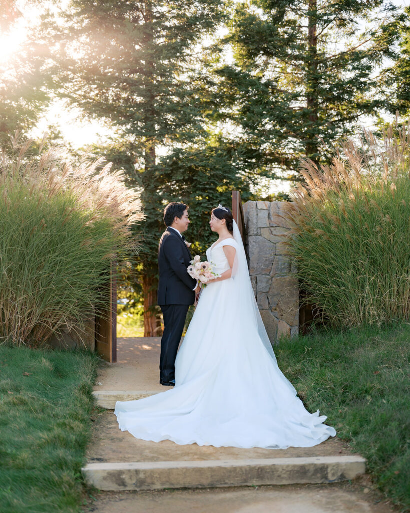 Bride and groom at a stone garden gate at The Barn at Harrow Cellars at golden hour, tall pine trees glowing behind them — Sonoma wedding photographer